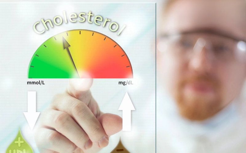 Dịch vụ lọc mỡ máu giúp giảm mức cholesterol xấu và triglycerides 