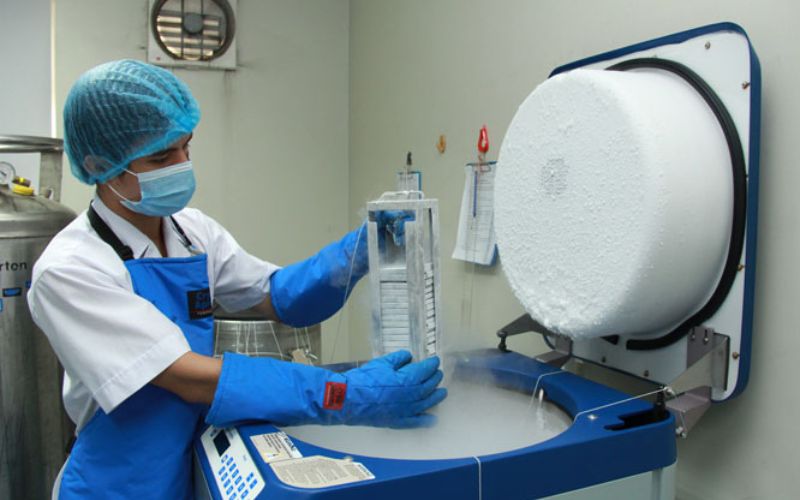 Lưu trữ tế bào gốc ngày càng trở thành một lựa chọn phổ biến và quan trọng trong lĩnh vực y học hiện đại